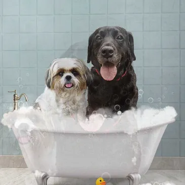 Two dogs enjoying a bubbly bath in a bathtub.